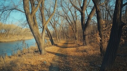 Aufkleber - Autumn pathway through leafless trees along a serene riverbank showcasing the beauty of nature and seasonal change in the forest