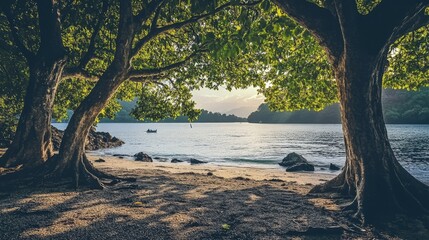 Poster - Serene beach view framed by lush trees capturing the tranquility of nature at dawn or dusk by the water's edge.