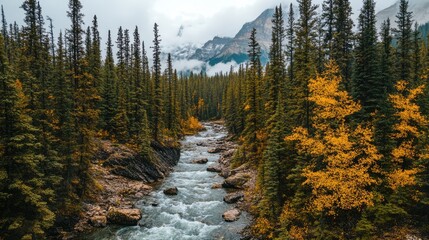 Poster - Serene river flowing through lush forest with autumn foliage and majestic mountain backdrop under cloudy sky