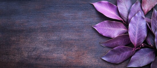 Poster - Glowing purple bay leaves arranged on a wooden table creating a serene atmosphere with space for text inclusion in your design