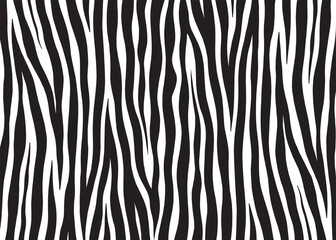 Wall Mural - Abstract Zebra pattern design, vector illustration background. wildlife fur skin design illustration.