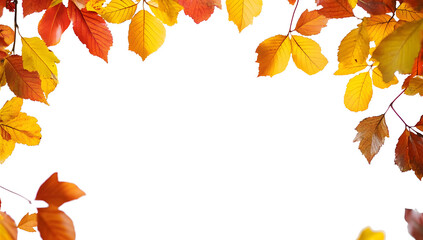 Wall Mural - beautiful yellow,red,orange foliage. natural background. border frame of colorful leaves. vibrant fa