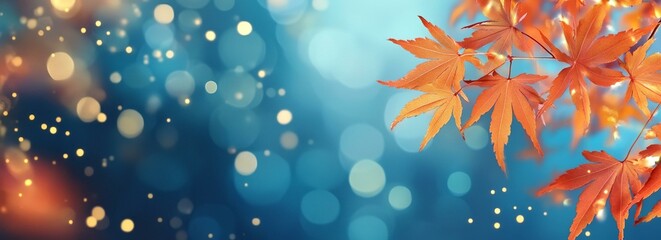 Wall Mural - Orange Japanese maple autumn leaves on blue blurred background.