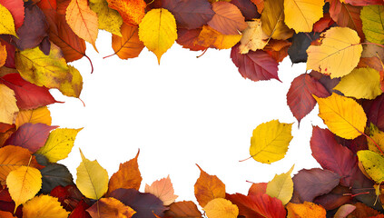 Poster - Beautiful yellow,red,orange foliage. Natural background. Border frame of colorful leaves. Vibrant fall colors.Autumn leaves cut outs