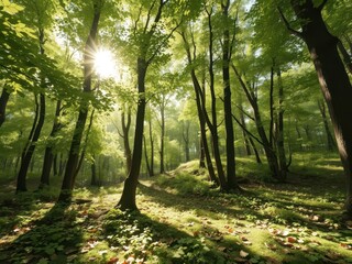 Sticker - Sun-dappled forest floor, vibrant green leaves, organic,foliage