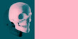 © Lustre Art Group  - Poster. Contemporary art collage. 3D human skull model in pink and teal color tones with sharp side shadow against colorful background with negative space. Concept of healthcare, rehabilitation.