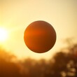 © Hamza - A low angle shot of a handball bathed in warm golden hour light just after sunrise or before sunset soft light dramatic composition looking upwards