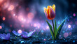 © Alex Puhovoy - Beautiful tulip. Floral background. Fantastic glow. Purple color scheme