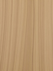 Poster - The Oak 9 Wood Panel Texture Features A Unique Organic Pattern With Subtle Grain Variations And Natural Color Tone. 00001