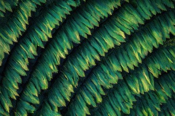 Poster - Close-up texture of overlapping green scales or leaves, creating a repeating pattern with subtle lighting variations.