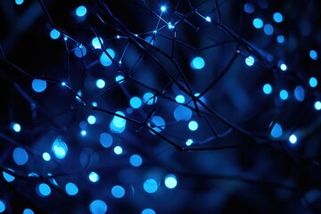 Poster - Glowing blue lights adorn dark branches at night, creating a magical, bokeh effect.