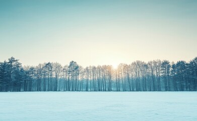 Wall Mural - A stunning sunrise bathes the winter mountains in golden light.