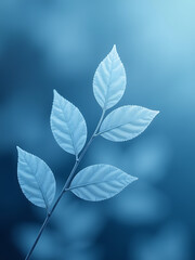 Poster - Subtle Blue Tones Create A Soothing Atmosphere With Delicate Frosted Leaves As Background Texture. 00003