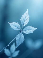 Poster - Subtle Blue Tones Create A Soothing Atmosphere With Delicate Frosted Leaves As Background Texture. 00002
