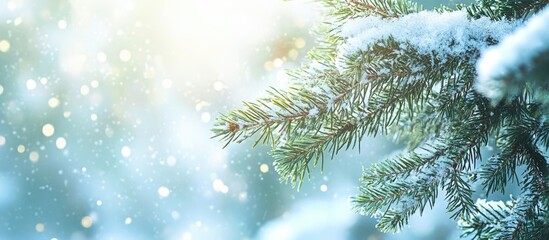 Poster - Serene winter landscape with snow-covered fir branches and soft bokeh background ideal for text overlays and seasonal themes