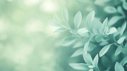 Poster - Soft green vintage background with delicate leaves creating a smooth and tranquil atmosphere for design and relaxation.