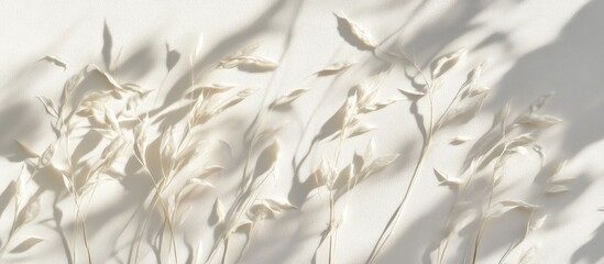 Poster - Minimalistic white wall featuring soft shadows of yucca leaves illuminated by sunlight creating a serene and tranquil background atmosphere