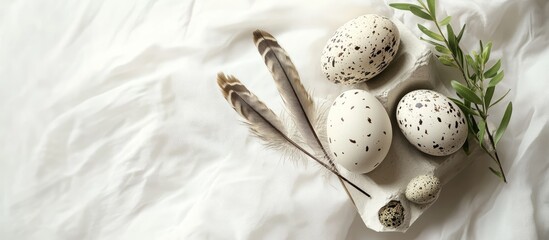 Poster - Easter Spring Still Life Mockup with Quail and Hen Eggs Feathers and Green Branch on White Background for Greeting Card Invitation