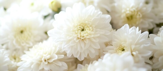 Aufkleber - Elegant white flowers arranged as a decorative centerpiece for a restaurant table setting