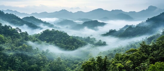 Poster - Misty mountainscape with lush greenery and ethereal fog creating a serene and tranquil atmosphere in nature's landscape.
