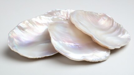Aufkleber - Mother of pearl shell close-up showcasing iridescent texture and natural beauty suitable for decorative or craft use