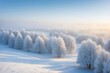 © alexx_60 - Group of Snow-Covered Trees in the Middle of a White Snowy Field