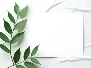 Aufkleber - Minimalist Design Features Green Leaves On A Wavy White Background With Copy Space Available For Text Overlay On A Card. 00003
