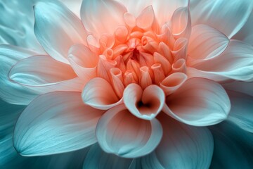 Aufkleber - A close-up view of a stunning dahlia in soft pastels with intricate petal structures bathed in sunlight, showcasing the beauty and artistry of nature's details.