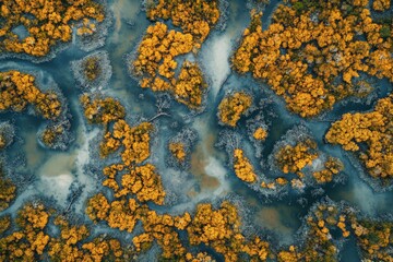 Poster - A striking aerial shot captures the vibrant colors of autumn foliage interwoven with winding creek, creating a natural tapestry of orange, green, and azure hues.