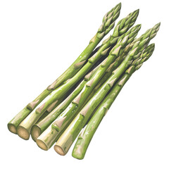 asparagus