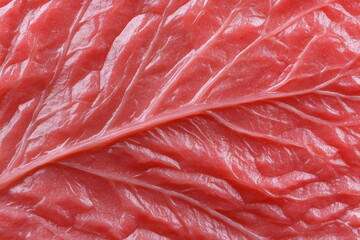 Poster - A close-up of pink hydrangea petals, with fine details of the veins and textures illuminated by golden evening light