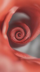 Poster - Swirling shades of red converge in a mesmerizing spiral, forming a captivating abstract visual that evokes a sense of depth and dynamic motion, inviting exploration of its vibrant energy