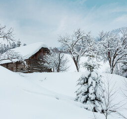 Wall Mural - Winter Carpathian village.