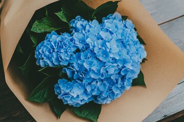 Poster - A hydrangea bouquet wrapped in kraft paper, lying on a vintage wooden table with soft morning light filtering through