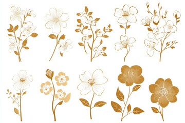 Poster - A collection of elegant floral illustrations featuring gold and cream hues, showcasing various flower types in a delicate and artistic arrangement.