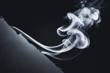 Poster - Abstract art depicting swirling white smoke against a dark background, creating a dramatic and ethereal visual.