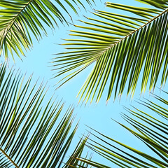 Wall Mural - Tropical palm fronds against a vibrant blue sky, capturing a fresh and sunny vibe, perfect for themes of summer, nature, and relaxation in a tropical paradise