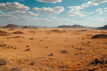 Landscape of an empty savanna, symbolizing declining populations of large mammals