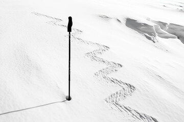 Wall Mural - a ski pole drawing zigzag patterns in the snow, laughing as it glides