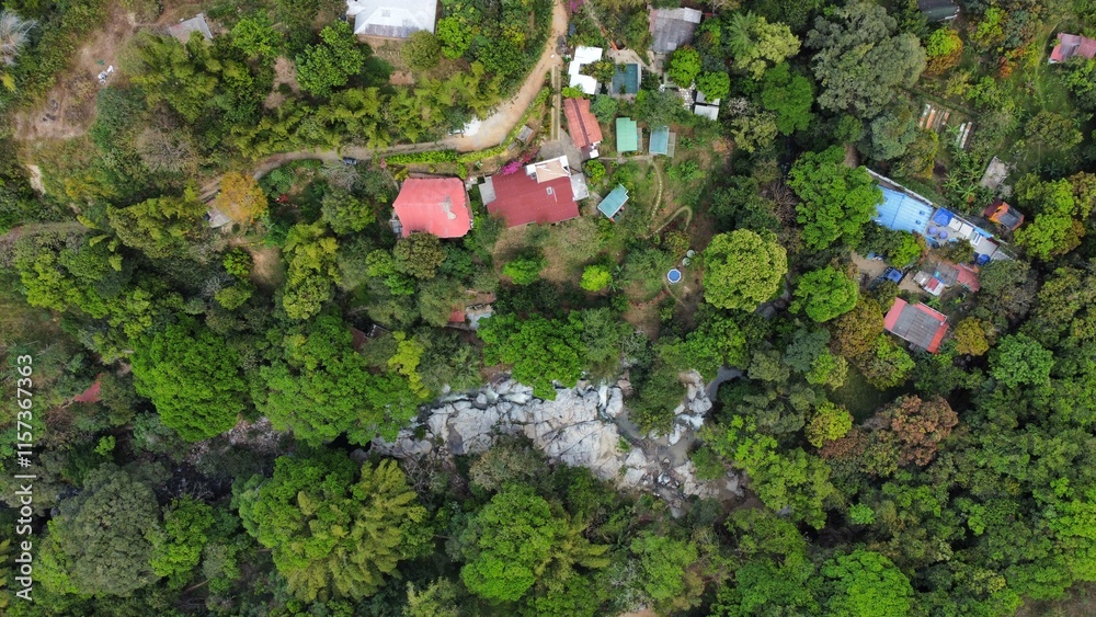 Flora y Fauna de Colombia Stock Photo | Adobe Stock