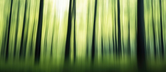Poster - abstract blurred green forest background with soft lighting for nature and ecology themes ideal for 