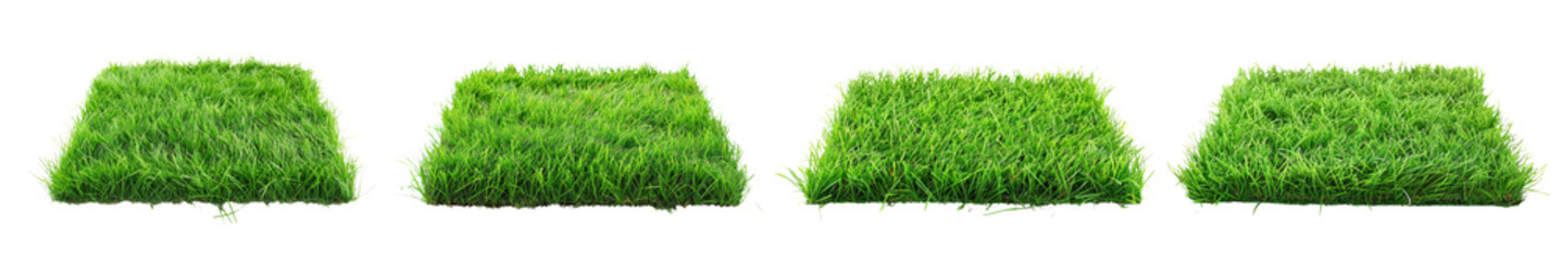 Collection of Grass field green isolated on white or transparent background