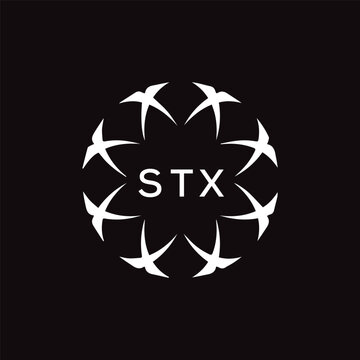 STX Letter Initial Logo Design Template Vector Illustration