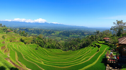 Canvas Print - A panoramic view of lush green rice terraces under a clear blue sky.