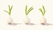 © Dmitry - Three Sprouting Garlic Bulbs on White Background