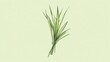 © Dari - Lemongrass Bunch Illustration - Simple Green Herbal Drawing