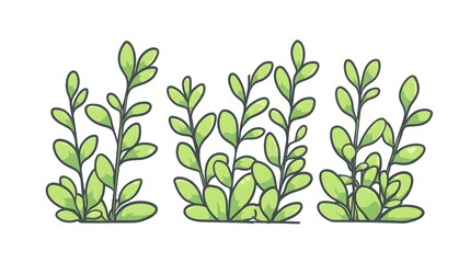 Wall Mural - Three illustrations of stylized green leafy plants