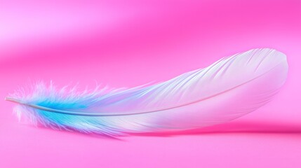 Wall Mural - soft pastel feather on vibrant pink background capturing ethereal beauty