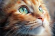 © Fotograf - A close-up shot of a cat's face showing its striking green eyes