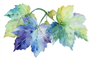 Poster - A delicate watercolor painting of a collection of leaves in various shapes and sizes